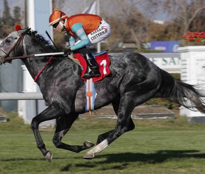 Facundo H, horse, Midshipman, Clásico República Argentina, viernes, 20 de mayo de 2021, Club Hípico de Santiago. Foto: Jaime Cortés