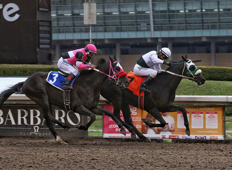 Iniesta, horse, Granja San Isidro, Clásico Nueva Hípica, Hipódromo de Las Américas, sábado, 30 de abril de 2022. Foto: Miguel Ángel Espinoza