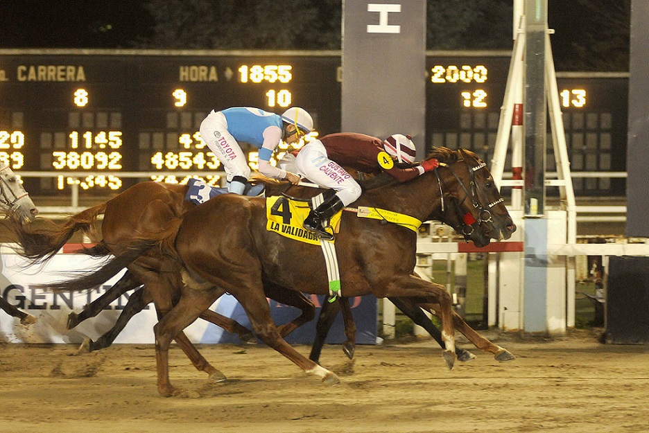 La Validada, horse, Solveyra y Eduardo Alfre, Clásico Gran Premio Criadores, domingo, 1 de mayo de 2022, Hipódromo de Palermo. Foto: Prensa Palermo