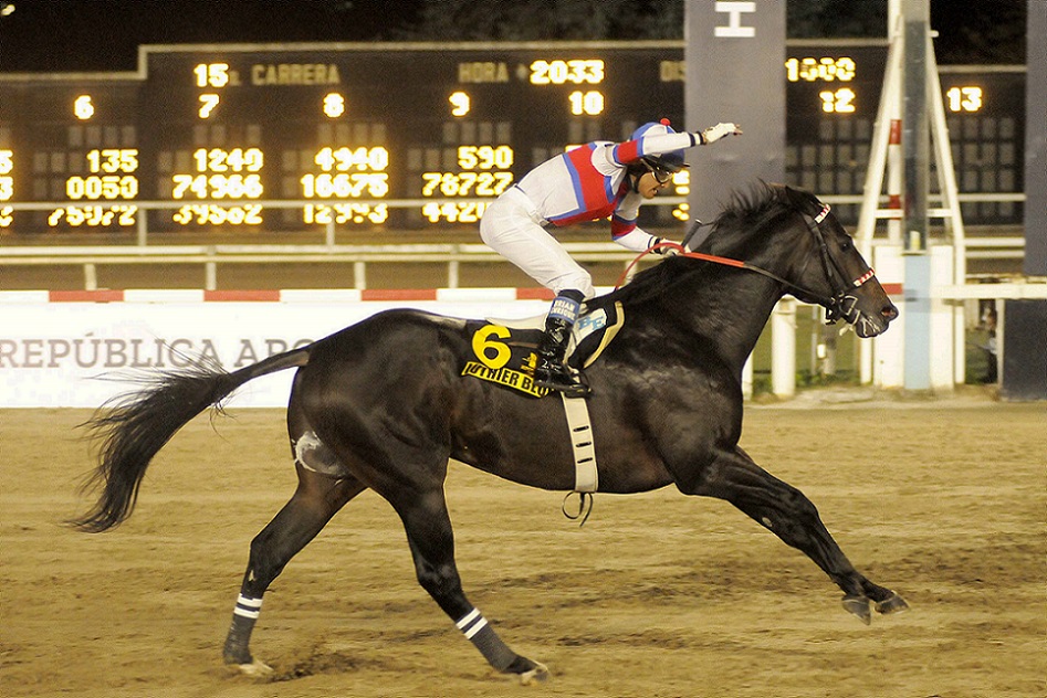 Luthier Blues, horse, Le Blues, Clásico Gran Premio Ciudad de Buenos Aires, domingo, 1 de mayo de 2022, Hipódromo de Palermo. Foto: Prensa Palermo
