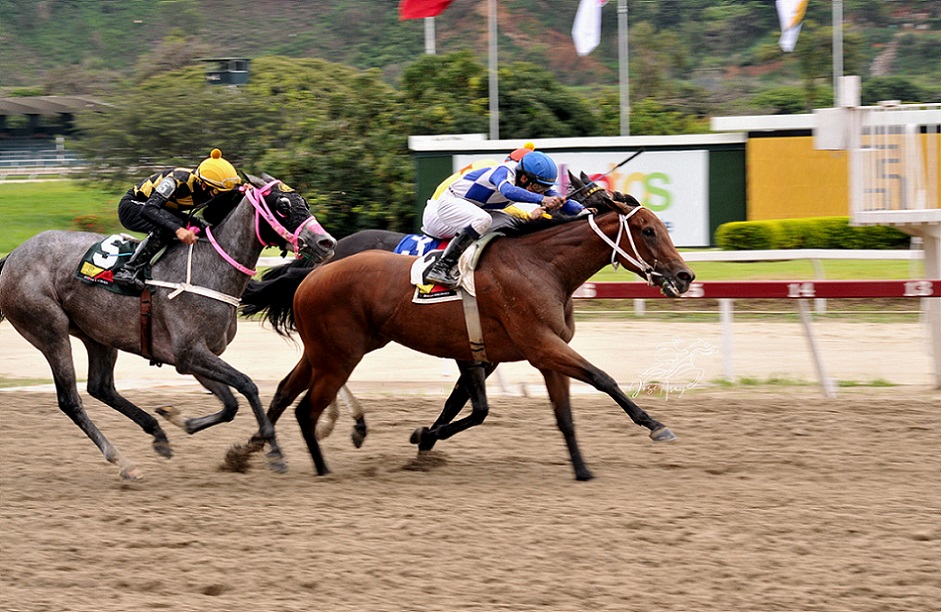 Lyndacarter, horse, Vacation, Clásico Asamblea Nacional, domingo, 8 de mayo de 2022, La Rinconada. Foto: José Antonio Aray