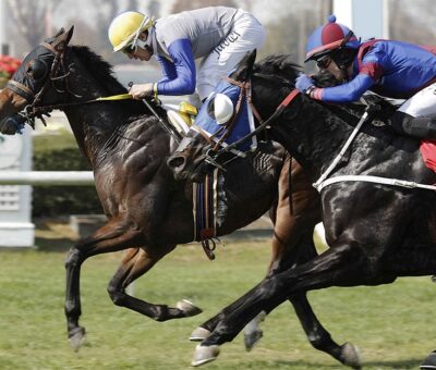Mazari, horse, Seeking The Día, Clásico Armada de Chile, lunes 9 de mayo de 2022, Club Hípico de Santiago. Foto: Jaime Cortés