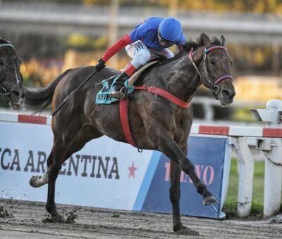Nievre, horse, Haras Carampangue, Clásico Gran Premio República de Argentina, domingo, 1 de mayo de 2022, Hipódromo de Palermo. Foto: Prensa Palermo