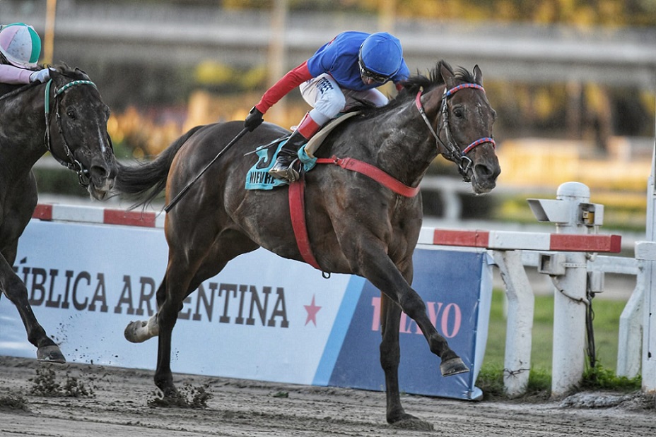 Nievre, horse, Haras Carampangue, Clásico Gran Premio República de Argentina, domingo, 1 de mayo de 2022, Hipódromo de Palermo. Foto: Prensa Palermo