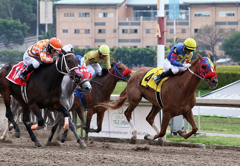 Nulik, horse, Rancho Pozo de Luna, Clásico Asociación para el Fomento de la Hípica Mexicana, Hipódromo de Las Américas, sábado, 30 de abril de 2022. Foto: Miguel Ángel Espinoza