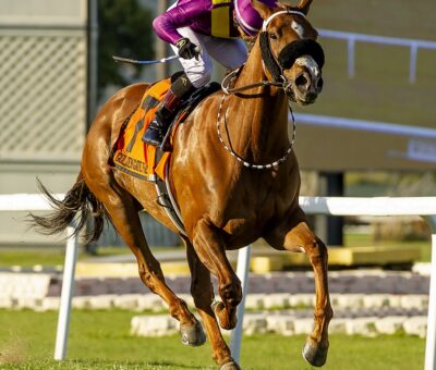 Sadie Bluegrass, Horses, Bluegrass Cat, Camila Urso Stakes, sábado, 30 de abril de 2022, Golden Gate Fields. Foto: Vassar Photography