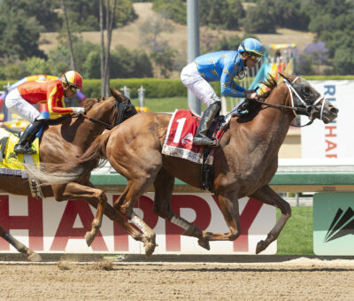 There Goes Harvard, Horses, Will Take Charge, Hollywood Gold Cup, lunes, 30 de mayo de 2022, Santa Anita Park. Foto: Benoit Photo