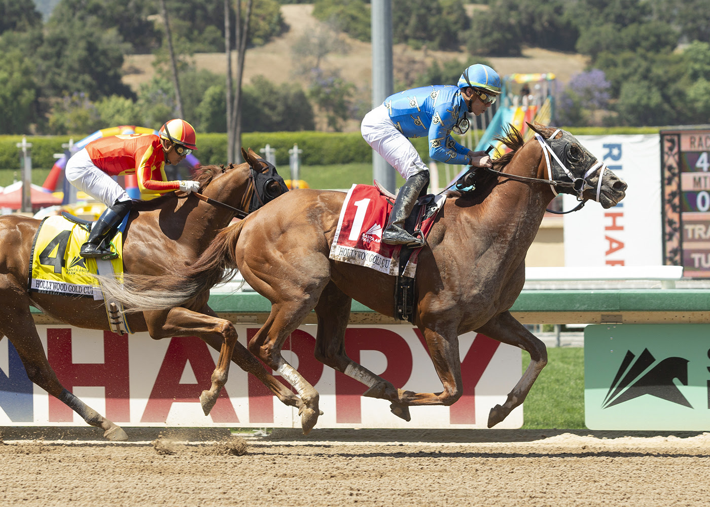 There Goes Harvard, Horses, Will Take Charge, Hollywood Gold Cup, lunes, 30 de mayo de 2022, Santa Anita Park. Foto: Benoit Photo