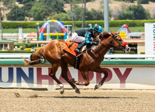 Tahoma, horse, Justify, Maiden Special Weight, domingo, 22 mayo de 2022, Santa Anita Park. Foto: Benoit Photo