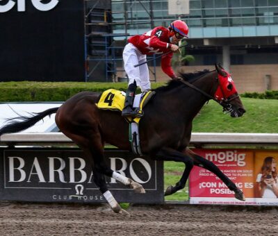 Talentoso Mozart, horse, More Than Regal, Clásico Alabastro, Hipódromo de Las Américas, sábado, 14 de mayo de 2022. Foto: Miguel Ángel Espinoza