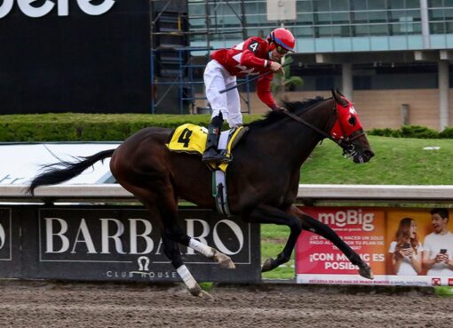 Talentoso Mozart, horse, More Than Regal, Clásico Alabastro, Hipódromo de Las Américas, sábado, 14 de mayo de 2022. Foto: Miguel Ángel Espinoza