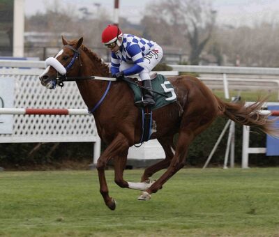 Theron, horse, Haras Don Alberto, Clásico Fernando Fantini Gatica, lunes, 23 de mayo de 2022, Club Hípico de Santiago. Foto: Jaime Cortés