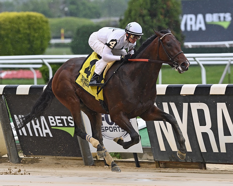 We The People, horse, WinStar Farm, Peter Pan Stakes, sábado, 14 de mayo de 2022, Belmont Park. Foto: Coglaniese Photo & Susie Raisher