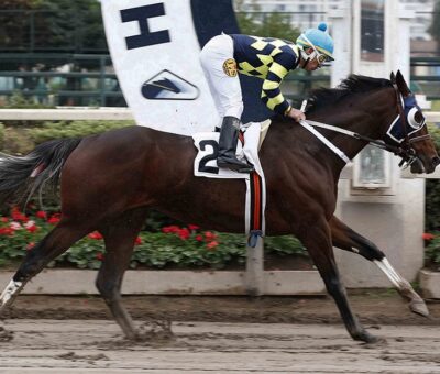El Egipcio, horse, Haras Carioca, Clásico Gran Premio de Honor, sábado, 3 de junio de 2022, Hipódromo de Chile. Foto: Jaime Cortés