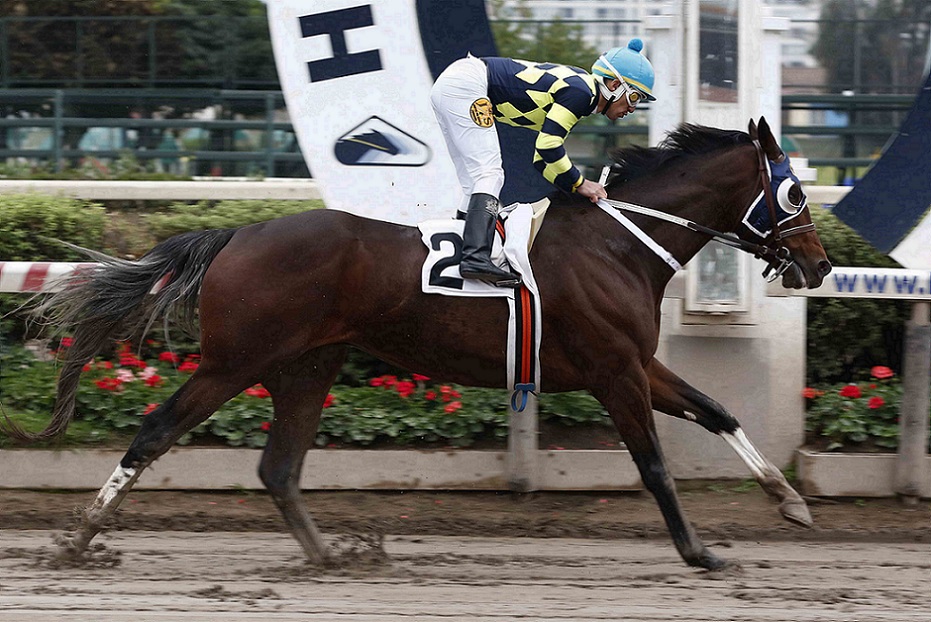 El Egipcio, horse, Haras Carioca, Clásico Gran Premio de Honor, sábado, 3 de junio de 2022, Hipódromo de Chile. Foto: Jaime Cortés
