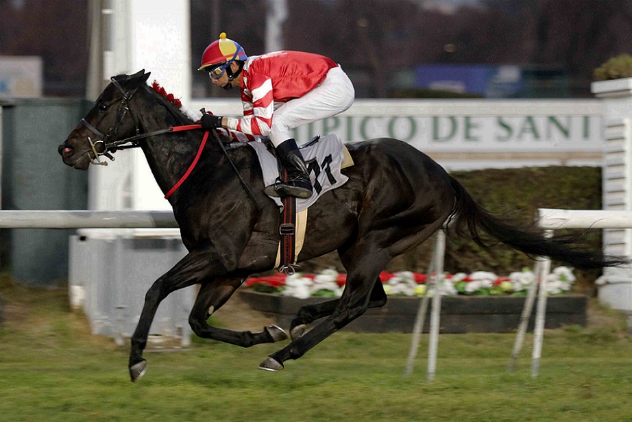El Mero Mero, horse, Haras Don Alberto, Clásico Andrés Morandé Tocornal, viernes 17 de junio de 2022, Club Hípico de Santiago. Foto: Jaime Cortés