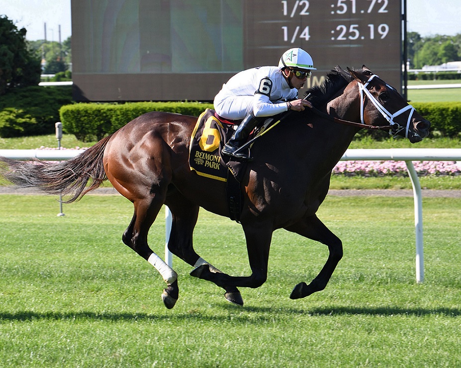 Emmanuel, horse, WinStar Farm, Pennine Ridge Stakes, sábado, 4 de junio de 2022, Belmont Park. Foto: Coglaniese Photo