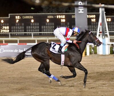 Luthier Blues, horse, Le Blues, Clásico Gran Premio Estrellas Sprint, sábado, 25 de junio de 2022, Hipódromo de Palermo. Foto: Prensa Palermo