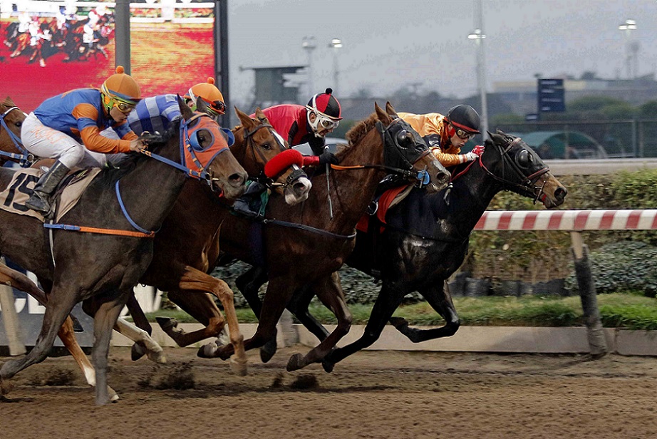 Mafi Massari, horse, Seeking The Día, Clásico Aroma, sábado, 18 de junio de 2022, Hipódromo de Chile. Foto: Jaime Cortés