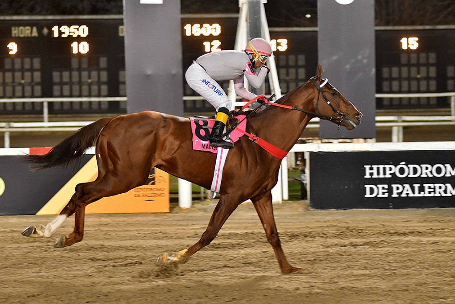 Malibu Spring, horse, Vikeda, Clásico Gran Premio Estrellas Mile, sábado, 25 de junio de 2022, Hipódromo de Palermo. Foto: Prensa Palermo