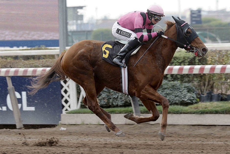 Negra Loca, horse, Seeking The Dia, Clásico Carlos Allende Navarro, jueves, 16 de junio de 2022, Hipódromo de Chile. Foto: Jaime Cortés