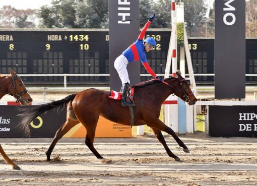 Nueva Fragancia, horse, Vacation, Clásico Gran Premio Estrellas Juvenil Fillies, sábado, 25 de junio de 2022, Hipódromo de Palermo. Foto: Prensa Palermo