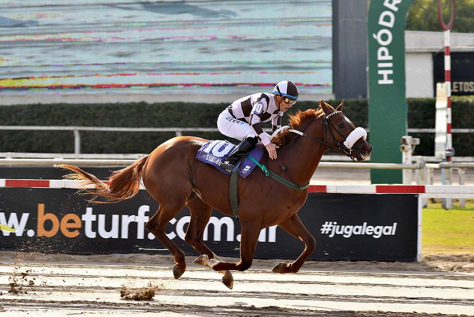 Subsanador, horse, Haras El Mallín, Clásico Gran Premio Estrellas Juvenil, sábado, 25 de junio de 2022, Hipódromo de Palermo. Foto: Prensa Palermo