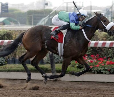 Vitalera, horse, Haras Matriarca, Condicional Dos Años, jueves, 16 de junio de 2022, Hipódromo Chile. Foto: Jaime Cortés
