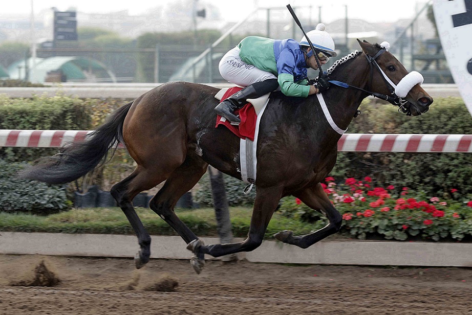 Vitalera, horse, Haras Matriarca, Condicional Dos Años, jueves, 16 de junio de 2022, Hipódromo Chile. Foto: Jaime Cortés
