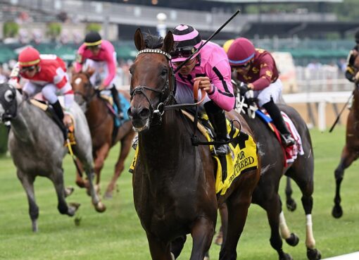 Casa Creed, horse, Jimmy Creed, Jaipur Stakes, sábado, 11 de junio de 2022, Belmont Park. Foto: Coglaniese Photo