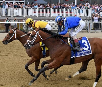 Clairiere, horse, Curlin, Stonestreet Stables, sábado, 11 de junio de 2022, Belmont Park. Foto: Coglaniese Photo & Chelsea Durand