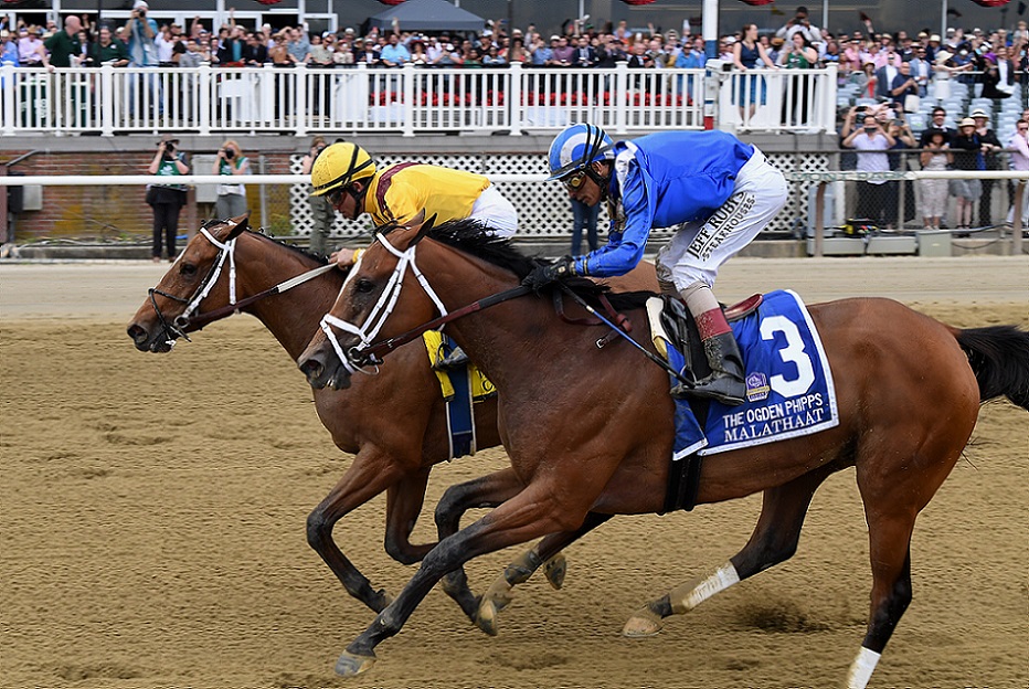 Clairiere, horse, Curlin, Stonestreet Stables, sábado, 11 de junio de 2022, Belmont Park. Foto: Coglaniese Photo & Chelsea Durand