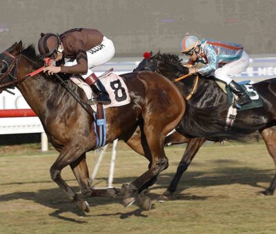 Corniglia, horse, Haras Don Alberto, Clásico Gregorio Amunátegui Jordan, viernes, 22 de julio de 2022, Club Hípico de Santiago. Foto: Jaime Cortés