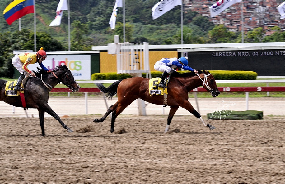 Lyndacarter, horse, Vacation, Clásico Joaquín Crespo, domingo, 24 de julio de 2022, La Rinconada. Foto: José Antonio Aray