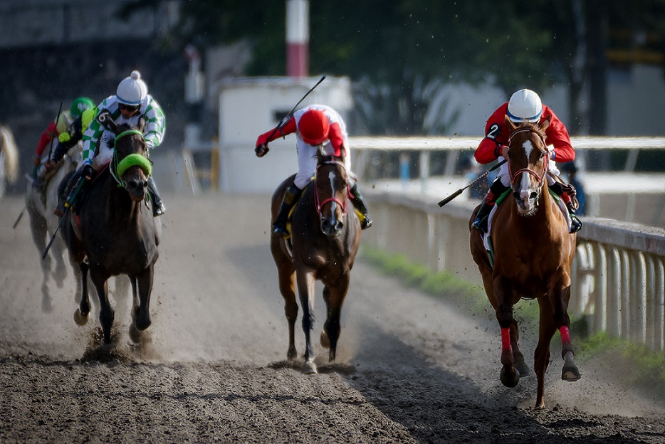 Malinche, horses, Cuadra San Jorge, Clásico Batucada, Hipódromo de Las Américas, sábado, 16 de julio de 2022. Foto: Miguel Ángel Espinoza
