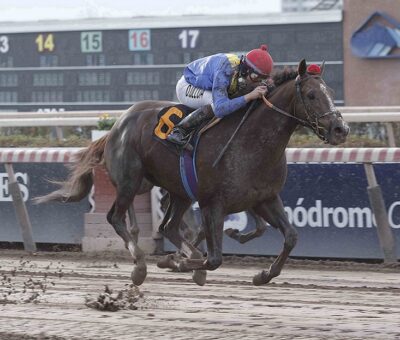 Medio Banca, horse, Midshipman, Clásico Italia, sábado, 25 de junio de 2022, Hipódromo de Chile. Foto: Jaime Cortés