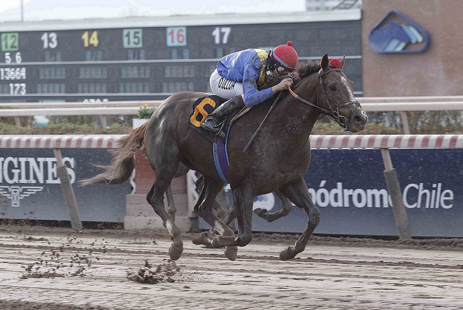 Medio Banca, horse, Midshipman, Clásico Italia, sábado, 25 de junio de 2022, Hipódromo de Chile. Foto: Jaime Cortés