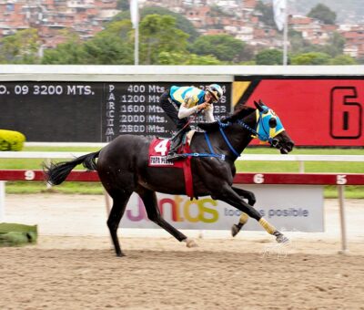 Papá Pedro, horse, Haras Vista Hermosa, Clásico FANB, domingo, 3 de julio de 2022, La Rinconada. Foto: José Antonio Aray