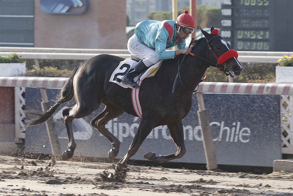 Salomar, horse, Practical Joke, Clásico Hernán Braun Page, sábado, 16 de julio de 2022, Hipódromo de Chile. Foto: Jaime Cortés