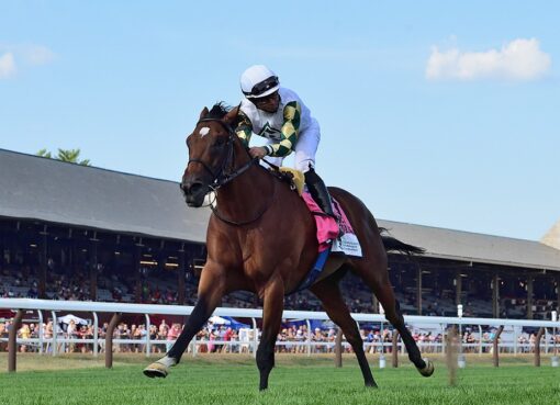 Big Invasion, horse, Reeves Thoroughbred Racing, Quick Call Stakes, domingo, 17 de julio de 2022, Saratoga. Foto: Coglaniese Photo & Chelsea Durand