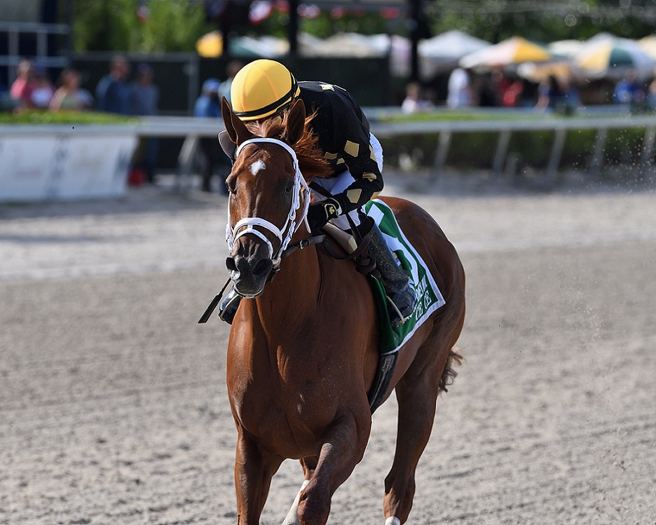 Ce Ce, horse, Elusive Quality, Princess Rooney Stakes, sábado, 2 de julio de 2022, Gulsftream Park. Foto: Coglianese Photo