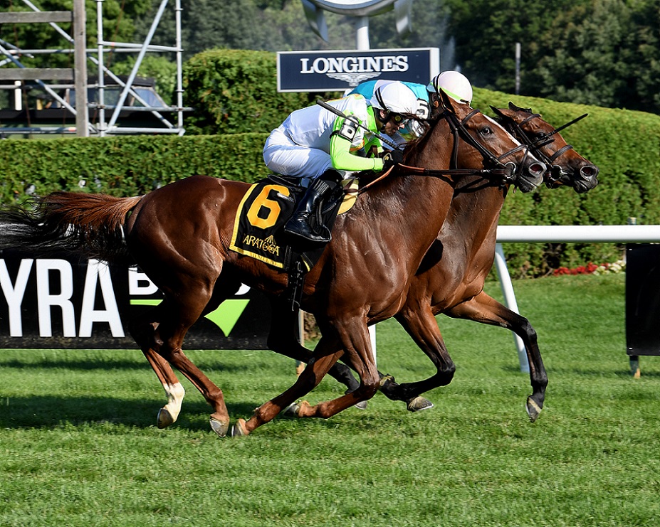 Dolce Zel, horse, Zelzal, Lake George Stakes, viernes, 22 de julio de 2022, Saratoga. Foto: Coglaniese Photo & Susie Raisher
