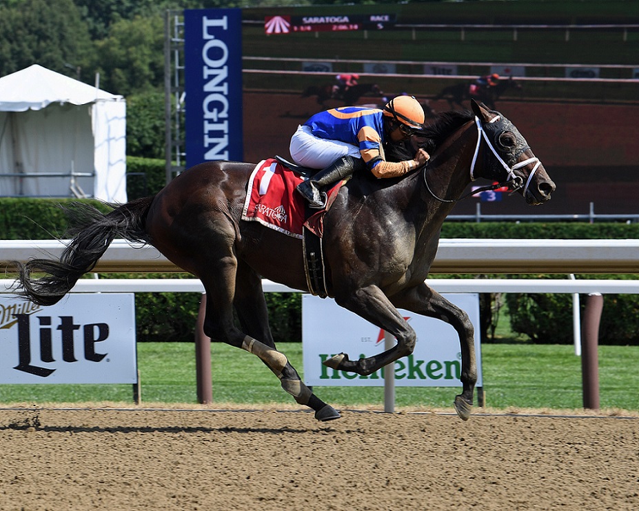 Fearless, horse, Repole Stable, Birdstone Stakes, jueves, 28 de julio de 2022, Saratoga. Foto: Coglaniese Photo & Susie Raisher