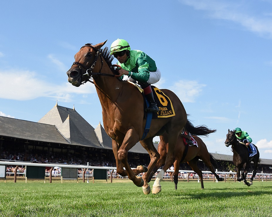 In Italian, horse, Dubawi, Peter M. Brant, sábado, 16 de julio de 2022, Saratoga. Foto: Coglaniese Photo