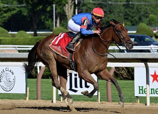 Just Cindy, horse, Justify, Schuylerville Stakes, jueves, 14 de julio de 2022, Saratoga. Foto: Coglaniese Photo & Susie Raisher
