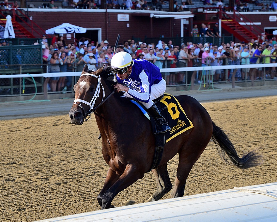 Mo Strike, horse, Uncle Mo, Sanford Stakes, sábado, 16 de julio de 2022, Saratoga. Foto: Coglaniese Photo & Chelsea Durand