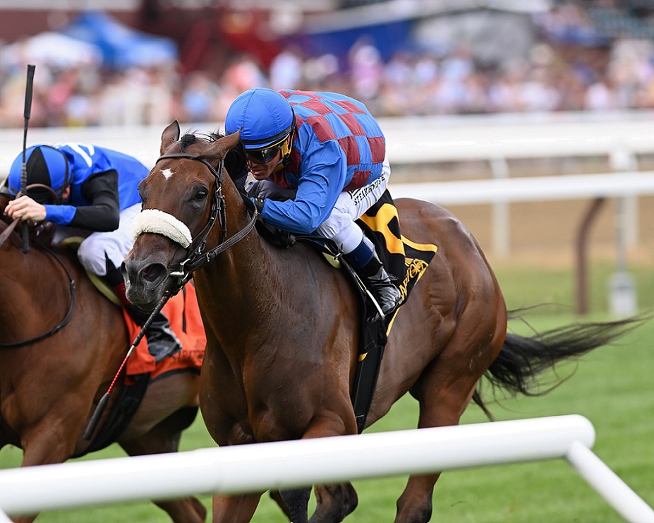 Robin Sparkles, horse, Hibiscus Stable, Caress Stakes, sábado, 23 de julio de 2022, Saratoga. Foto: Coglaniese Photo & Chelsea Durand