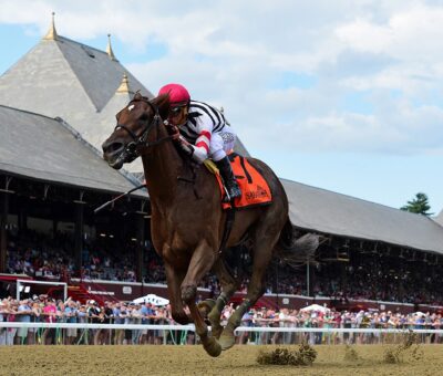 Tarabi, horse, Hinkle Farm, Wilton Stakes, jueves, 14 de julio de 2022, Saratoga. Foto: Coglaniese Photo & Susie Raisher