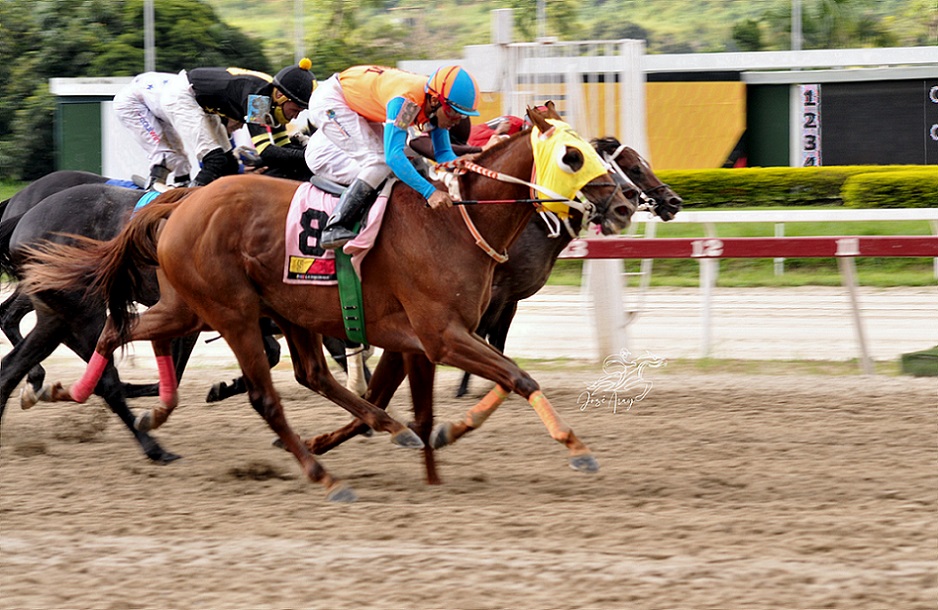 Danierold, horse, Z Humor, Clásico Guardia Nacional, domingo, 7 de agosto de 2022, La Rinconada. Foto: José Antonio Aray