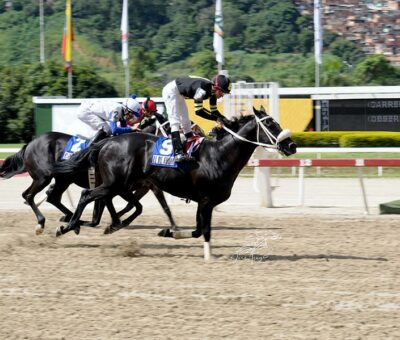 El De Froix, horse, King Seraf, Clásico Copa Invitacional del Caribe, domingo, 28 de agosto de 2022, La Rinconada. Foto: José Antonio Aray